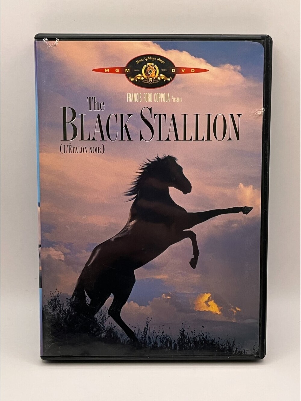 The Black Stallion DVD Standard Edition Kelly Reno 1979 Action & Region 1